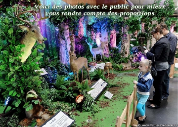 Exposition La Forêt Enchantée (10) Cerf